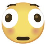 Distorted Face Early Version