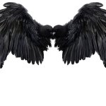 Black Wings