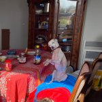 Heart attack Dog dancing