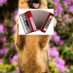 german | image tagged in german | made w/ Imgflip meme maker