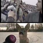 Deer interview