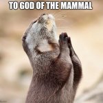 pray | to God of the mammal | image tagged in animal praying | made w/ Imgflip meme maker