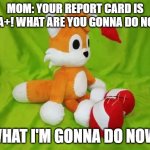 When you get all A+ on your report card. | Mom: Your report card is all a+! What are you gonna do now? what i'm gonna do now: | image tagged in he vibin' | made w/ Imgflip meme maker