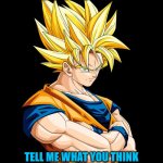 GOKU | HE DA BEAST; TELL ME WHAT YOU THINK ABOUT HIM IN THE COMMENTS PLS | image tagged in goku | made w/ Imgflip meme maker