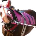 sweet great motherland. haru urara.