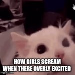 Like bro stfu | How girls scream when there overly excited | image tagged in gifs,relatable,imgflip | made w/ Imgflip video-to-gif maker