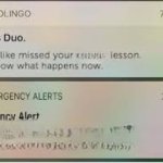 Looks like you missed your ____ Emergency alert