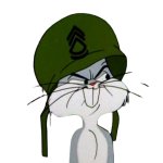 War Bunny