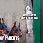 I hide O_O | Me trying to have a good time; My parents | image tagged in hidden cat | made w/ Imgflip meme maker