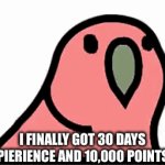 yay | I finally got 30 days expierience and 10,000 points!!! | image tagged in gifs,yay | made w/ Imgflip video-to-gif maker