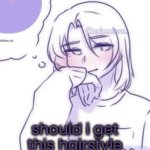 Smug look | should i get this hairstyle | image tagged in smug look | made w/ Imgflip meme maker