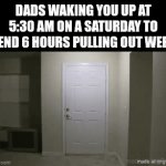 E | Dads waking you up at 5:30 am on a Saturday to spend 6 hours pulling out weeds | image tagged in gifs,sesame street,door,big bird,lol so funny,weed | made w/ Imgflip video-to-gif maker