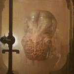 Guild navigator