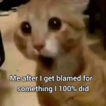 Me after I get blamed for something I 100% did