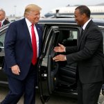 Trump getting into a limousine. Tiger Woods is in a black suit a