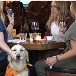 Lady-holding-dog-mouth-closed