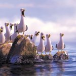 Dow nemo seagulls