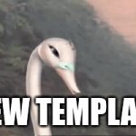new Template. I think this template would make some funny memes | new Template | image tagged in gifs,meme,template | made w/ Imgflip video-to-gif maker