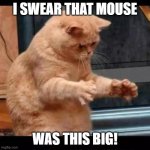 it was this big! | i swear that mouse; was this big! | image tagged in cat aliens,cat,cute,catfish | made w/ Imgflip meme maker
