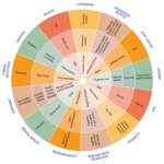 Insanity Wheel of Privilege and Power Cards