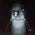 Evil Dolphin