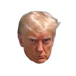 Trump Mugshot