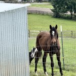 Me Hiding While My Boss Deals With Chaos