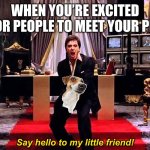 Say Hello to my little Friend | When you’re excited for people to meet your pet; Say hello to my little friend! | image tagged in say hello to my little friend | made w/ Imgflip meme maker