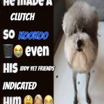 Why, Kookoo? WHY?? | Clutch; Kookoo; Iddy Yet friends; Indicated | image tagged in he made a statement so trash,grace,roblox | made w/ Imgflip meme maker