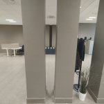 Pillars of Body SHaming