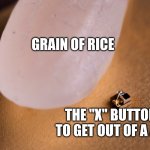 true | Grain of rice; The "x" button to get out of a ad | image tagged in grain of rice,true | made w/ Imgflip meme maker