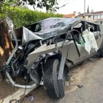 Dinosuar sad about Cybertruck crashing