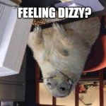 Call Center Animal | feeling dizzy? | image tagged in call center animal,fun,funny memes,bad luck brian | made w/ Imgflip meme maker