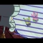 Squidword looking outside window