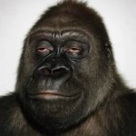 Do he even know where he at