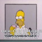 Homer Simpson Engaged In Intercourse