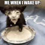 Cat in Milk Meme | Me When I wake up: | image tagged in cat in milk meme | made w/ Imgflip meme maker