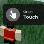 touch grass