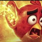 angry bird with ear open shocked