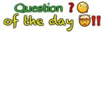 Question of the day meme