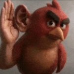 Angry Bird Listening