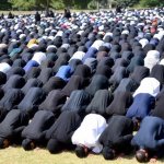 Community Identification Science