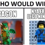 My Ninjago Universe explains everything, any questions? | Dragon; Nya from Lego Ninjago | image tagged in memes,who would win,ninjago | made w/ Imgflip meme maker