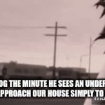 Flick7 (Slowed + Reverb) | My dog the minute he sees an underpaid mailman approach our house simply to do his job | image tagged in gifs,funny | made w/ Imgflip video-to-gif maker