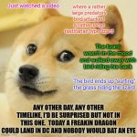 Still Laughing | Just watched a video; where a rather large predatory bird attacked a rather large rastifarian type lizard; The lizard wasn't in the mood and walked away with bird riding his back; The bird ends up "surfing" the grass riding the lizard; Any other day, any other timeline, I'd be surprised but not in this one.  Today a freakin dragon could land in DC and nobody would bat an eye | image tagged in memes,doge,meanwhile in florida,weird timeline,2026,what's going on | made w/ Imgflip meme maker