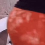 Brutally Honest Dog GIF Template