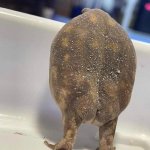 everyone is so mean to me