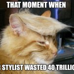 Trump cat meme | That Moment When; Ur Stylist Wasted 40 Trillion | image tagged in trump cat meme | made w/ Imgflip meme maker