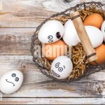 Eggs In One Basket
