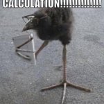 Fjfjfj Meme Template